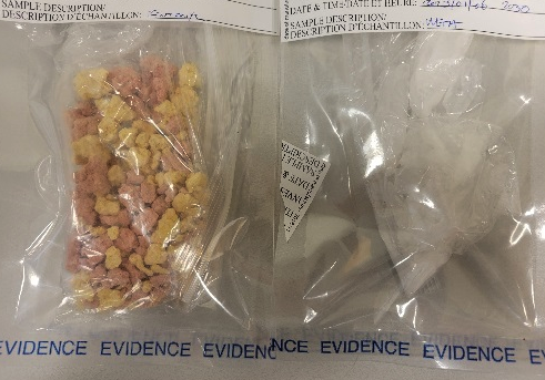 ATV stop leads Grand Forks RCMP to drug investigation