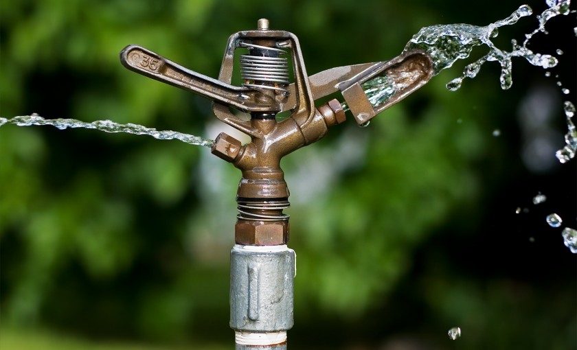 As the RDKB WaterSmart Ambassador, Abbe Teasdale hopes to replicate the success initiated by the Columbia Basin Trust when it first launched the program to address high seasonal outdoor water use and achieve the basin wide reduction goal of 20%.