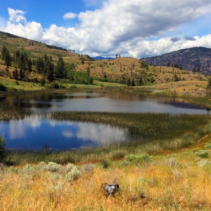 The second day of February is not just reserved for the annual groundhog day – it is also World Wetlands Day. — Submitted photo