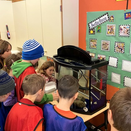 Egg delivery to FinS participant schools has taken place over the first half of January 2023, with over 5000 eggs being sent out to schools and other institutions. — Submitted photo