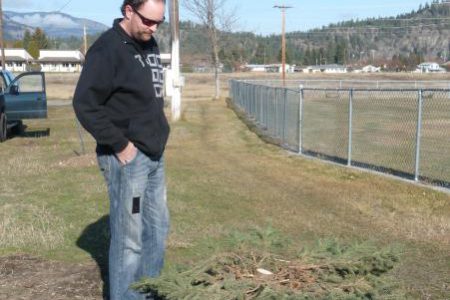 Senseless vandalism ravages trees