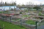 Community gardens project in West Boundary invites everyone to get involved