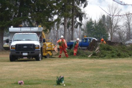 Wind storm takes out more trees in Evergreen cemetery