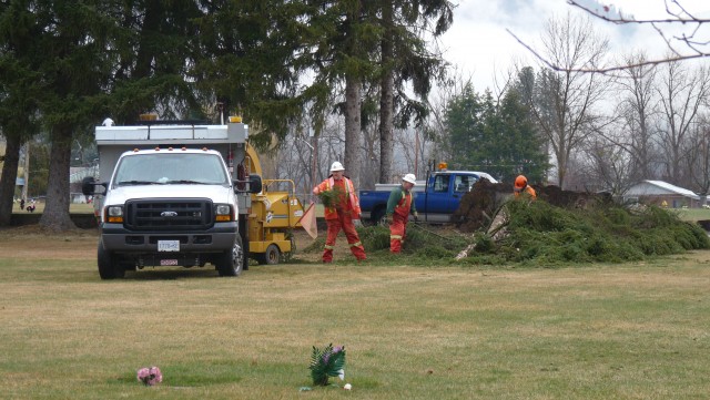Wind storm takes out more trees in Evergreen cemetery