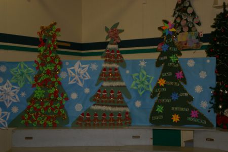 Christmas trees raise money for food bank and agriculture