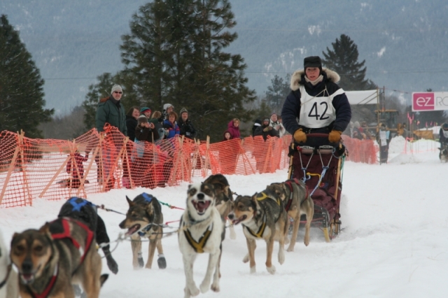 Snow hampered this year's Rail Trail 200 Dog Sled Race