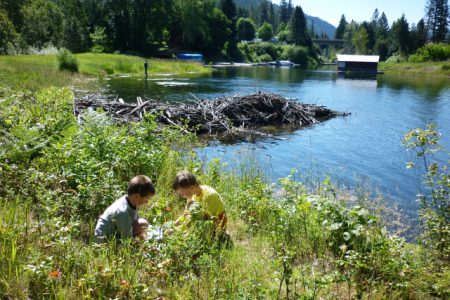 New location and summer programs for Christina Lake Stewardship Society