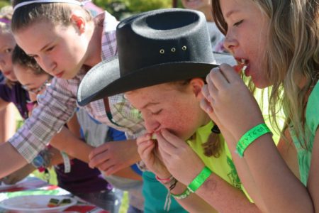 Annual Fall Fair attracts thousands to Dick Bartlett Park