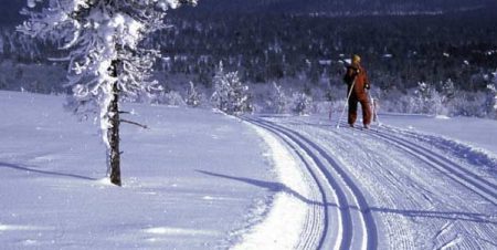 Cross country skiing a great activity for everyone