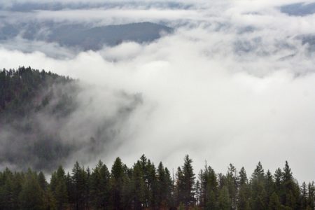 BC Timber Sales to start addressing concerns over logging Lynch Creek