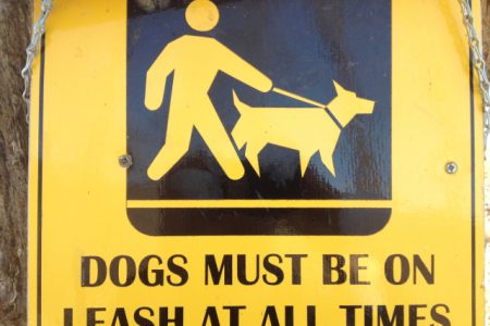 Barking dogs, fine schedule to put more bite in animal control bylaw