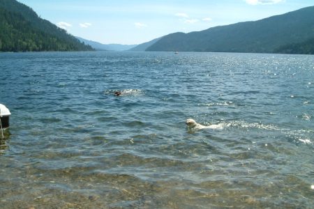 CL triathlon participants say this was the best race so far