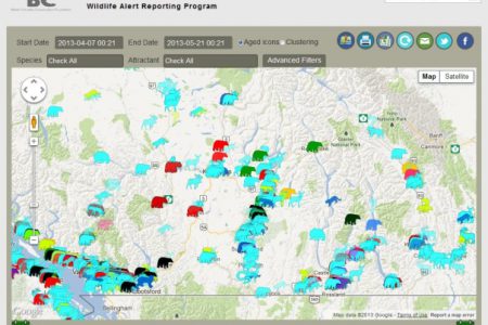 Find out what wild animals are in the area through WildSafe BC