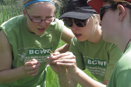 BCWF course encourages community conservations of wetlands