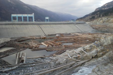 Hundreds of logs break free of booms near Hugh Keenleyside