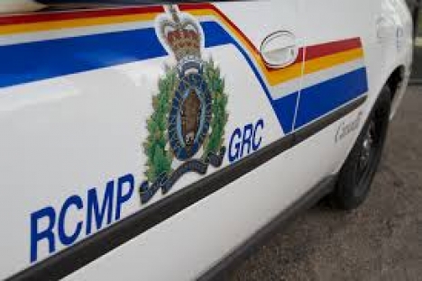 Couple in custody after series of crimes