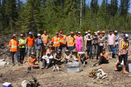 Locals take part in attempt to win tree-planting world record