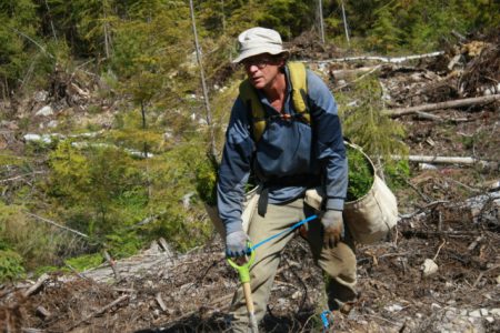 Kootenay operations join tree planting world record attempt