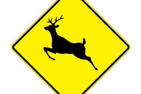 Op/Ed: Deer Cull not support by committee members