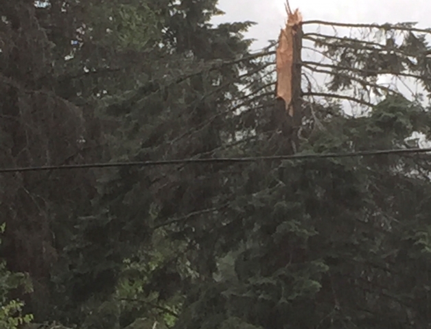 UPDATED: Nelson Hydro/Fortis BC crews deal with massive power outage from Monday's Thunderstorm
