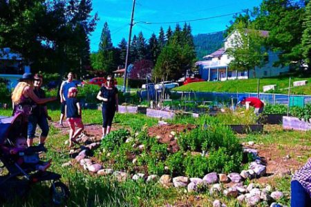 Community Gardens survive internal drought - thanks in large part to city council