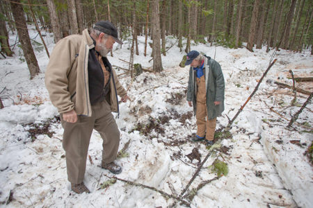 Ministry aware of the Western Toad’s precarious situation; ensures responsible logging practices near Summit Lake