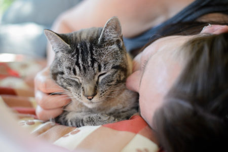 BC SPCA holds adoption event for adult cats