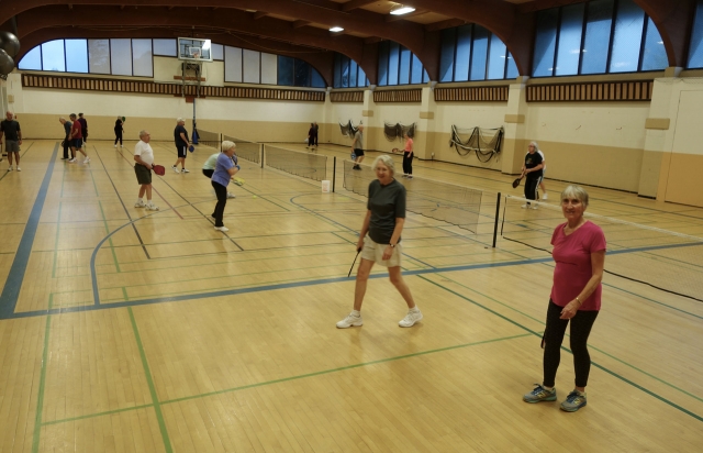 Great new sport takes over Nelson â€” Pickleball