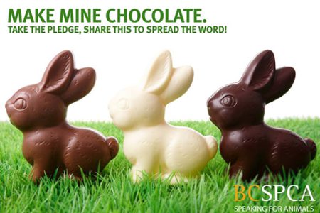 Better to give chocolates bunnies at Easter