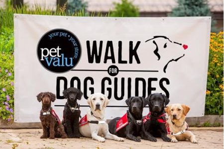 Pet Valu Walk for Dog Guides Sunday in Grand Forks