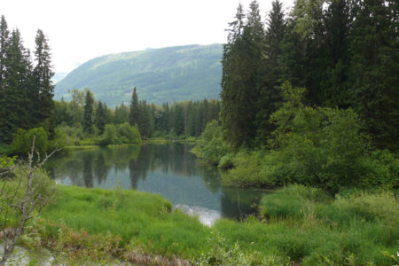 Latest acquisition for Nature Trust in land in Lardeau Valley