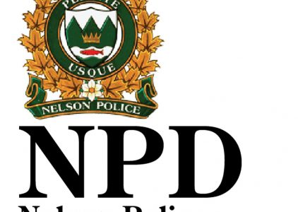 Police warn of phone scam targeting public using NPD