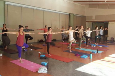 Yogathon raises big bucks for mental health