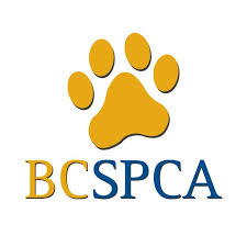 OP/ED: BC SPCA urges public to support bill protecting animals