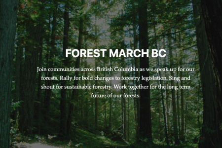 Communities Rally for Better Forest Management Across BC