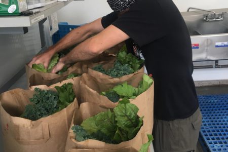 Fresh local food for families goal of new EcoSociety program