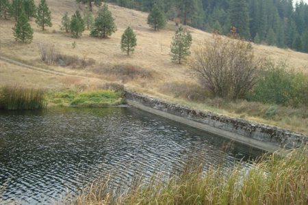 RDKB granted $395K to further upgrade Saddle Lake Dam