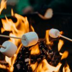 Campfire ban starts at noon, Friday, July 12