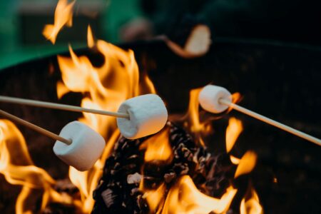 Campfire ban starts at noon, Friday, July 12